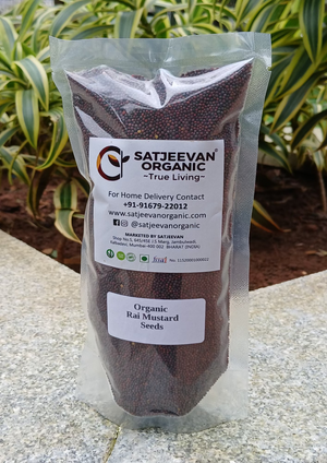 Organic Rai Mustard Seeds 250g