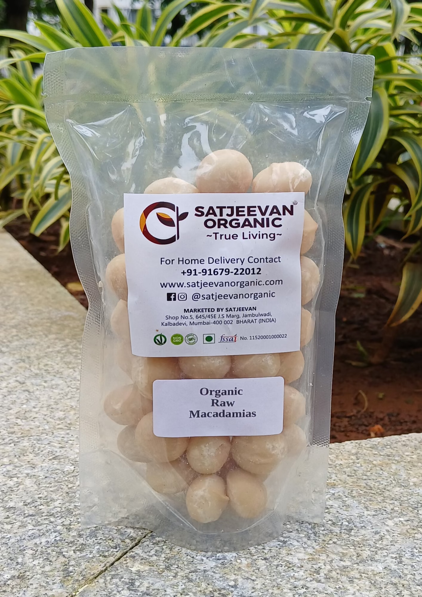 Organic Raw Macadamias 200g