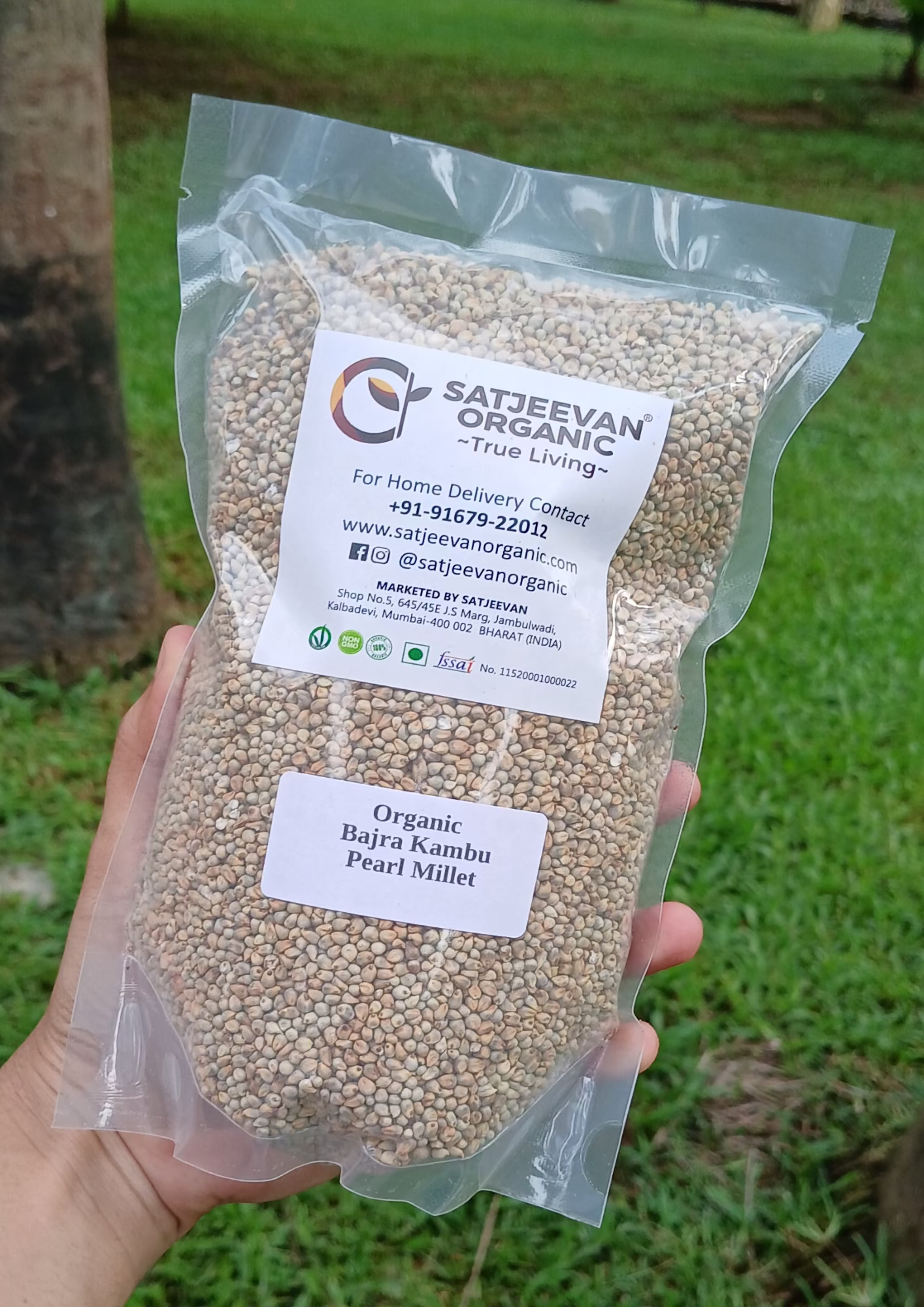 Organic Bajra Kambu Pearl Millet 500g