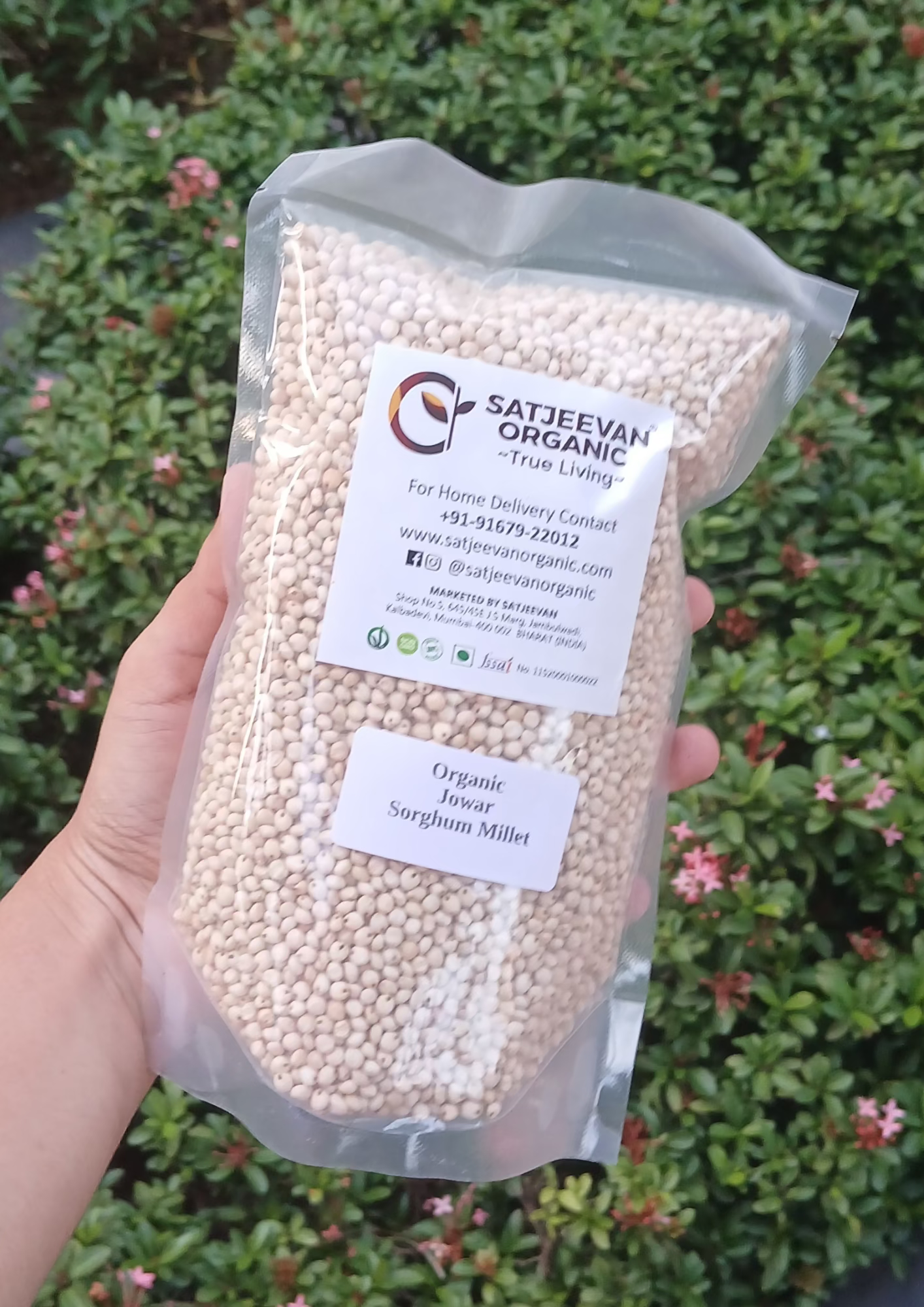 Organic Jowar Sorghum Millet 500g