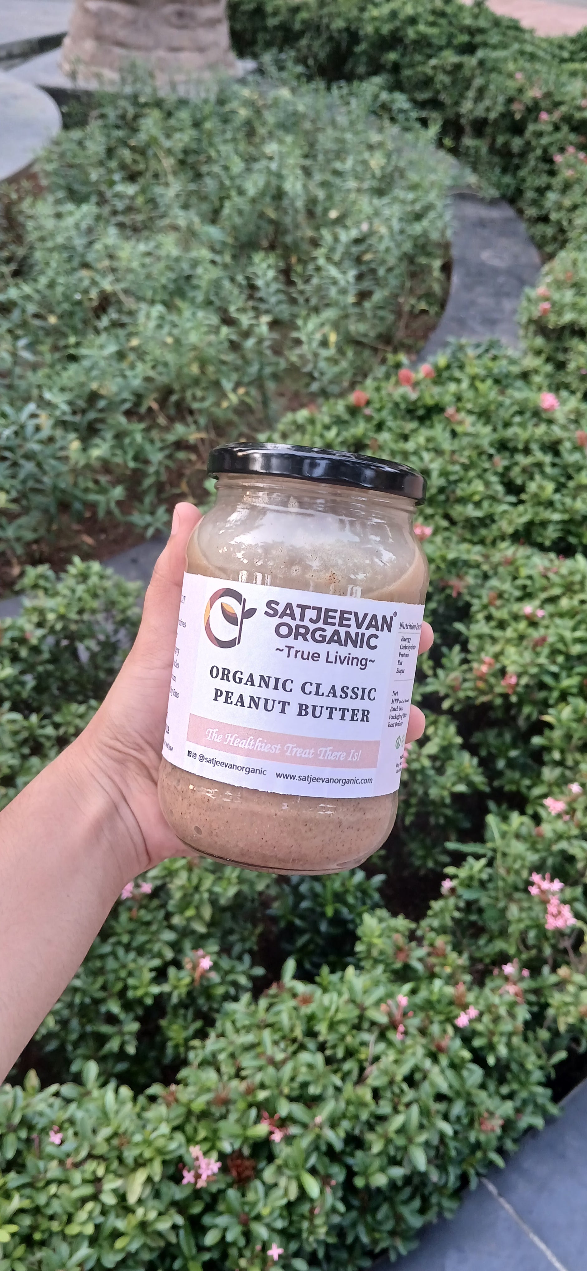 Organic Classic Peanut Butter 500g