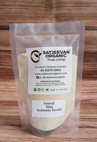 Natural Hing Asafoetida Powder 100g
