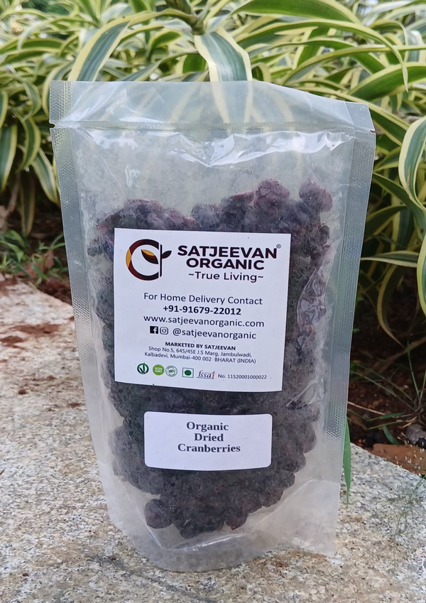 Organic Dried Cranberries 200g