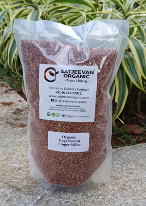 Organic Ragi Finger Millet 500g