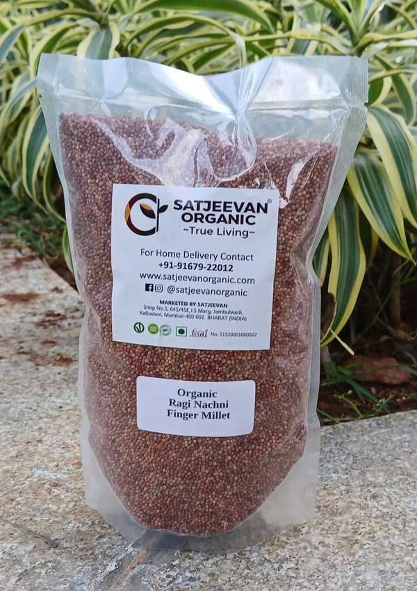 Organic Ragi Finger Millet 500g