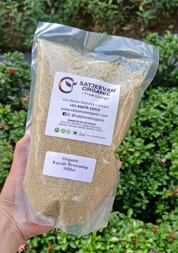 Organic Korale Browntop Millet 500g