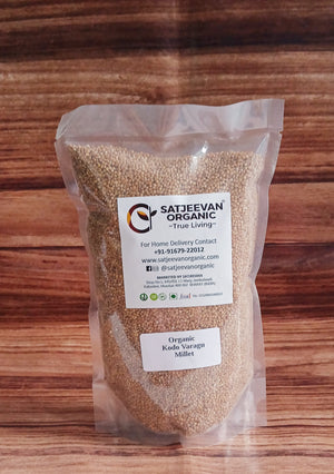 Organic Kodo Varagu Millet 500g