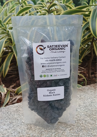 Organic Black Kishmis Raisins 200g