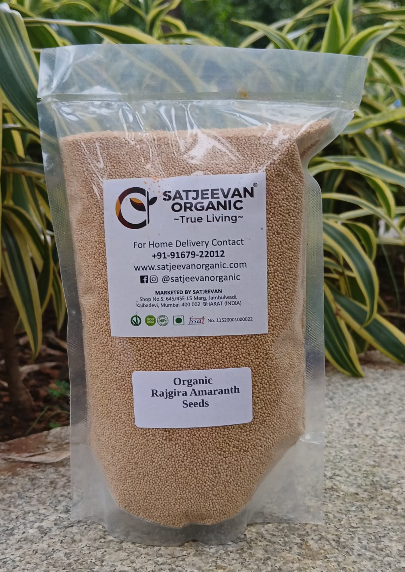 Organic Ramdana Amaranth Rajgira Seeds 500g