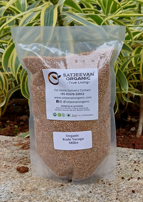 Organic Kodo Varagu Millet 500g