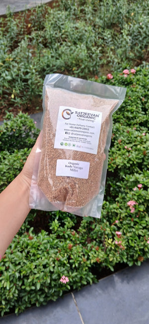 Organic Kodo Varagu Millet 500g