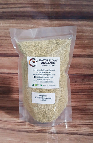 Organic Korale Browntop Millet 500g