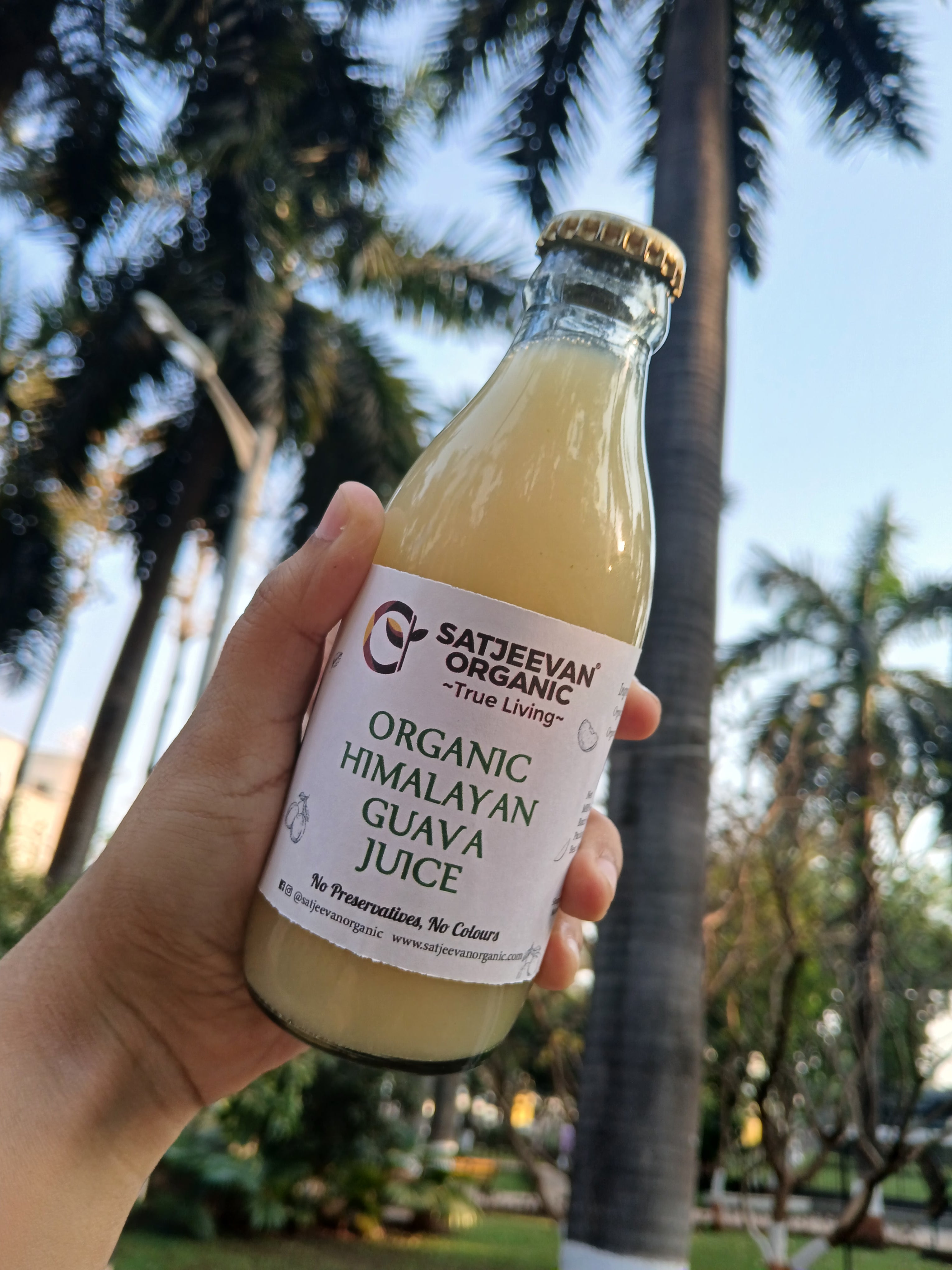 Organic Himalayan Guava Juice 200ml