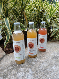 Gut Friendly Kombucha Pack of 3
