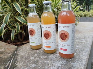 Gut Friendly Kombucha Pack of 3