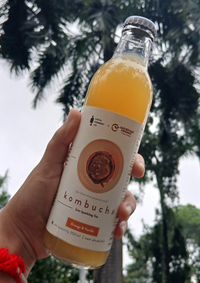 Organic Kombucha Orange Vanilla 250ml