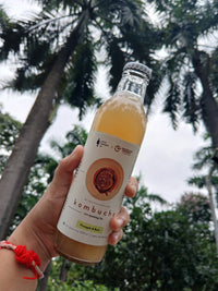 Organic Kombucha Pineapple Basil 250ml