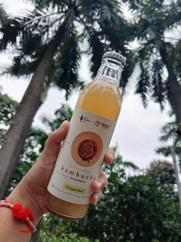 Organic Kombucha Pineapple Basil 250ml