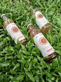 Gut Friendly Kombucha Pack of 3
