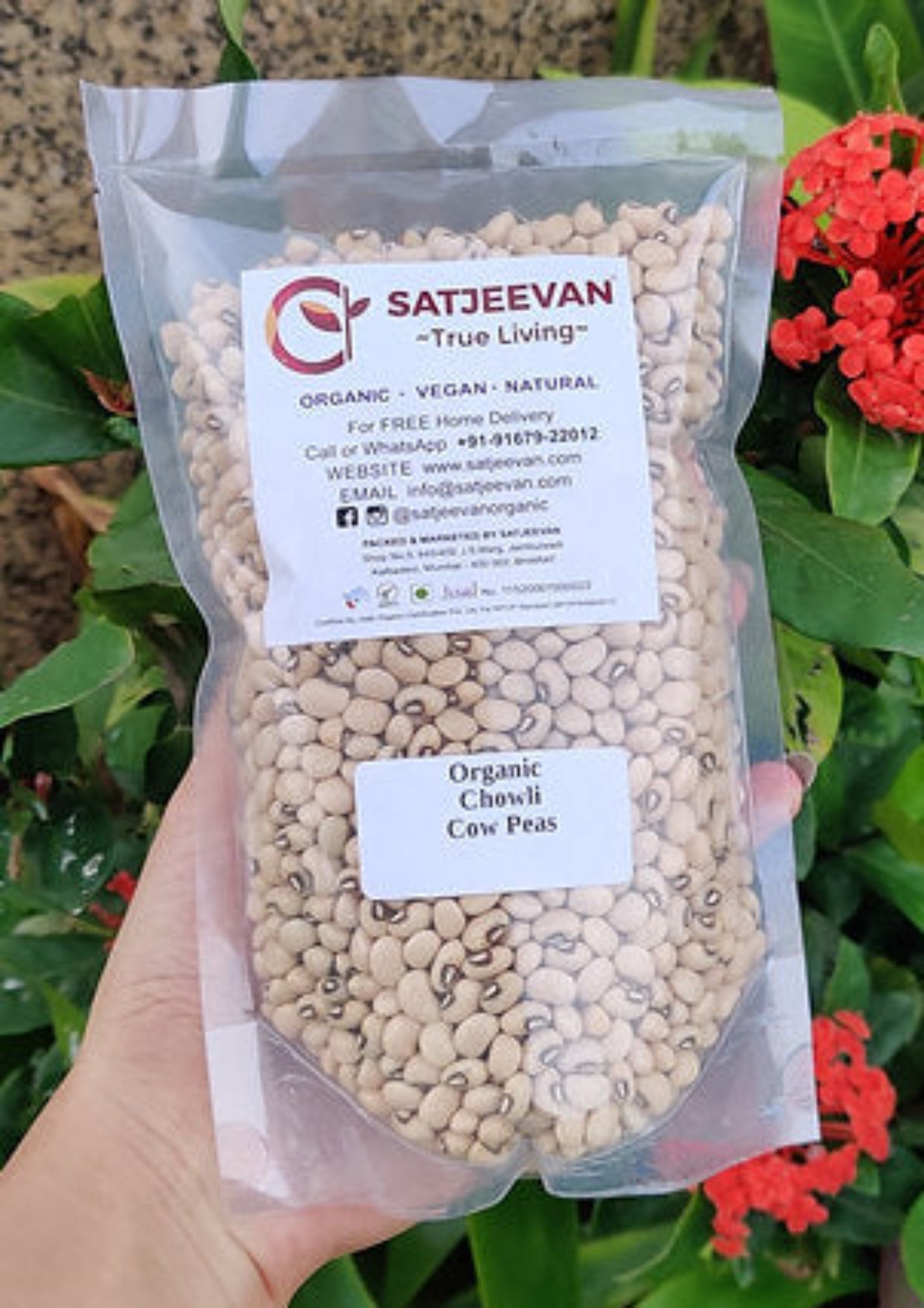Organic Chowli Cow Peas