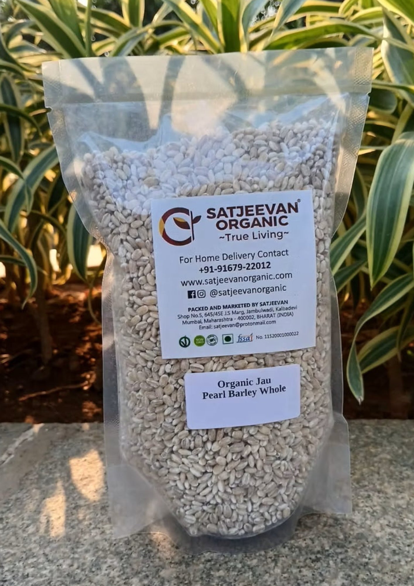 Organic Jau Pearl Barley Whole 500g