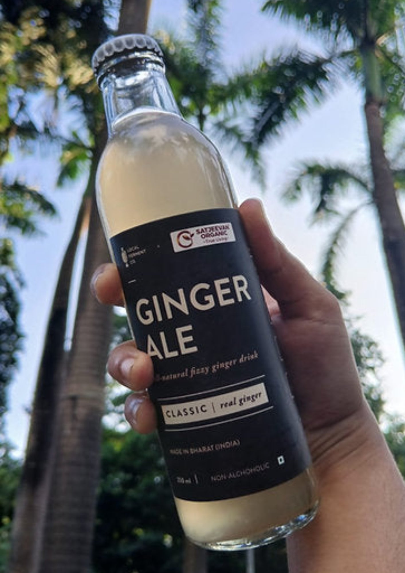 Organic Ginger Ale Classic 250ml