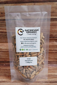 Wild Himalayan Chilgoza Pinenuts 100g