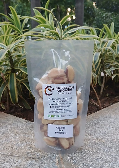 Organic Raw Brazilnuts 200g