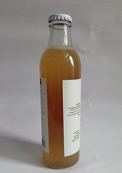 Organic Kombucha Pineapple Basil 250ml