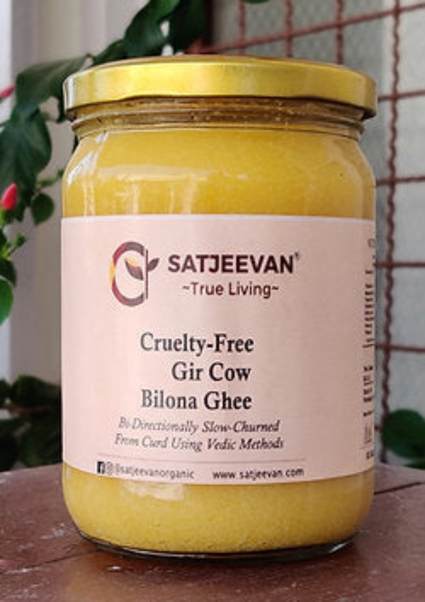 Satjeevan Organic Vedic Gir Cow Bilona Ghee 500ml