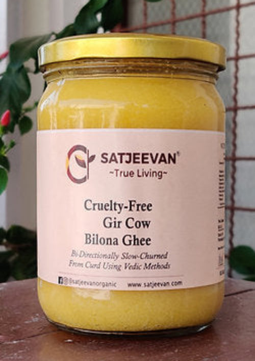 Satjeevan Organic Vedic Gir Cow Bilona Ghee 500ml