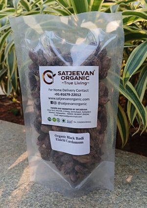 Organic Black Badi Elaichi Cardamom 100g