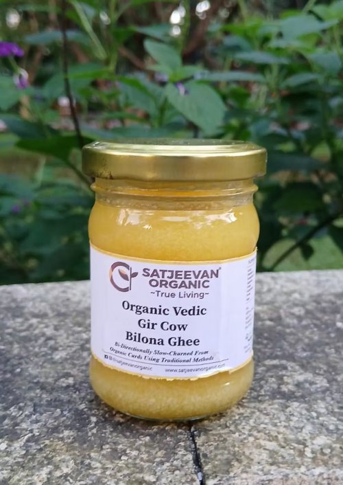Satjeevan Organic Vedic Gir Cow Bilona Ghee 100ml
