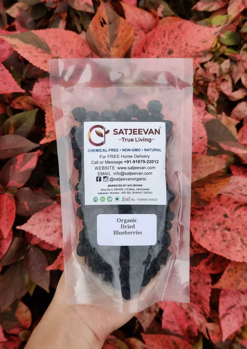 Organic Dried Blueberries 200g