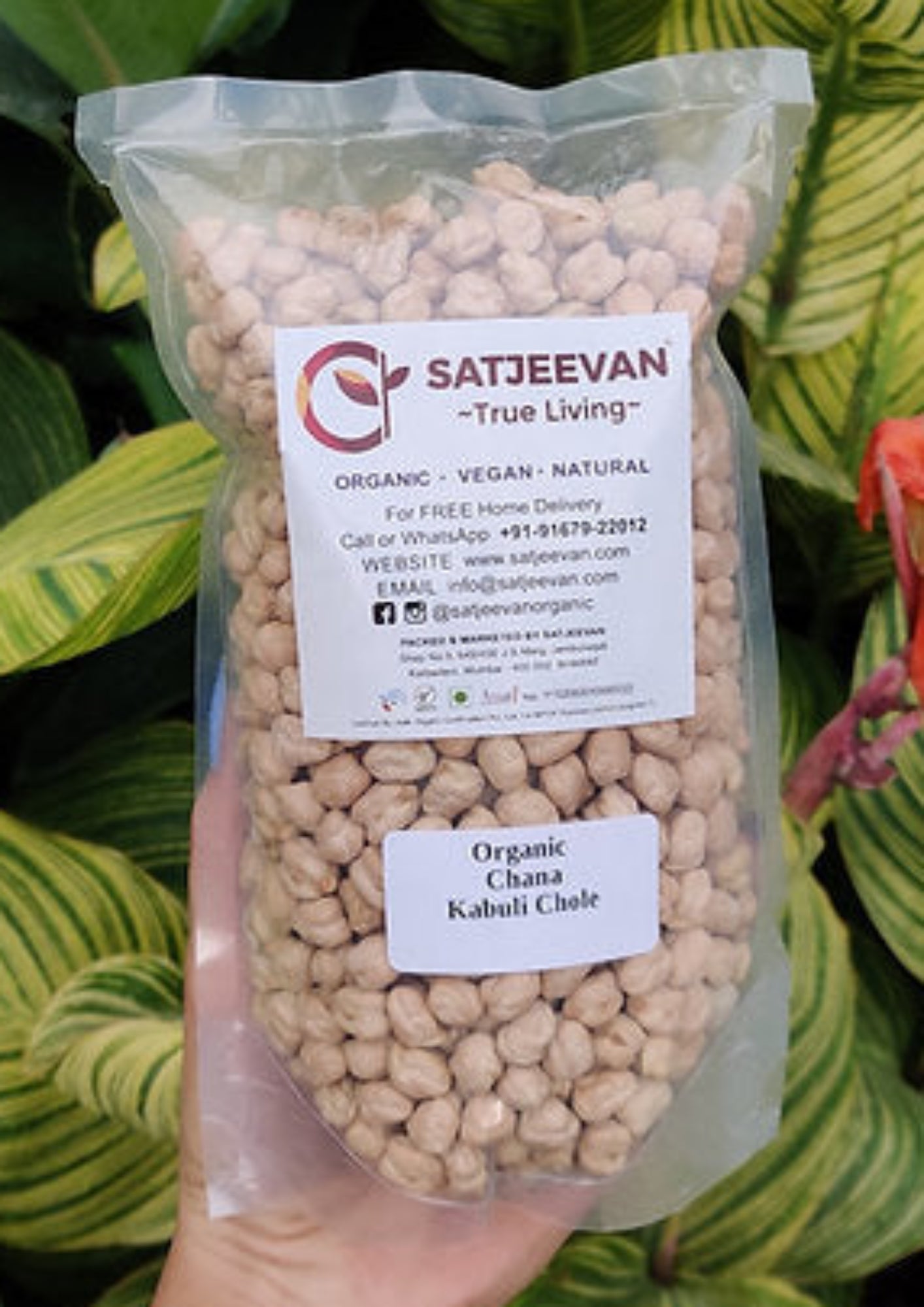 Organic Chana Kabuli Chole