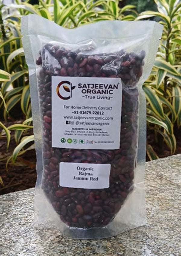 Organic Rajma Jammu Red