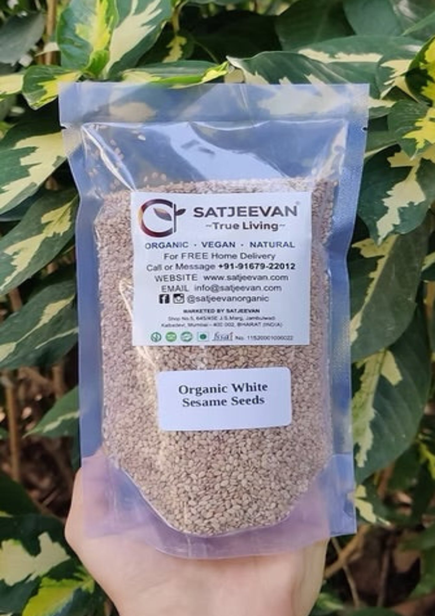 Organic White Sesame Seeds 250g