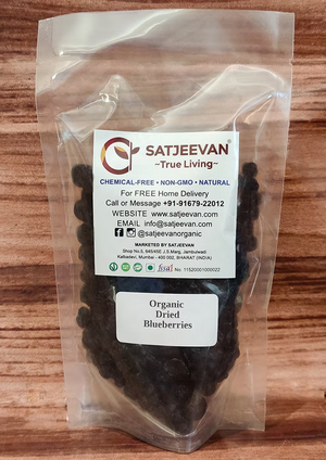 Organic Dried Blueberries 200g