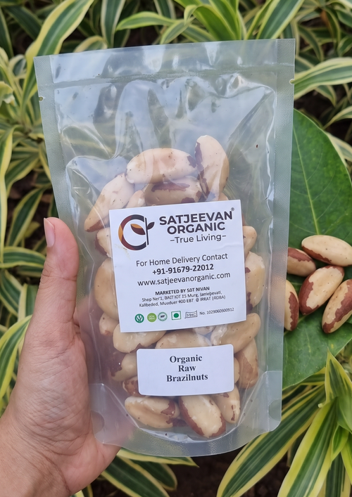 Organic Raw Brazilnuts 200g