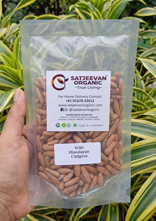 Wild Himalayan Chilgoza Pinenuts 100g