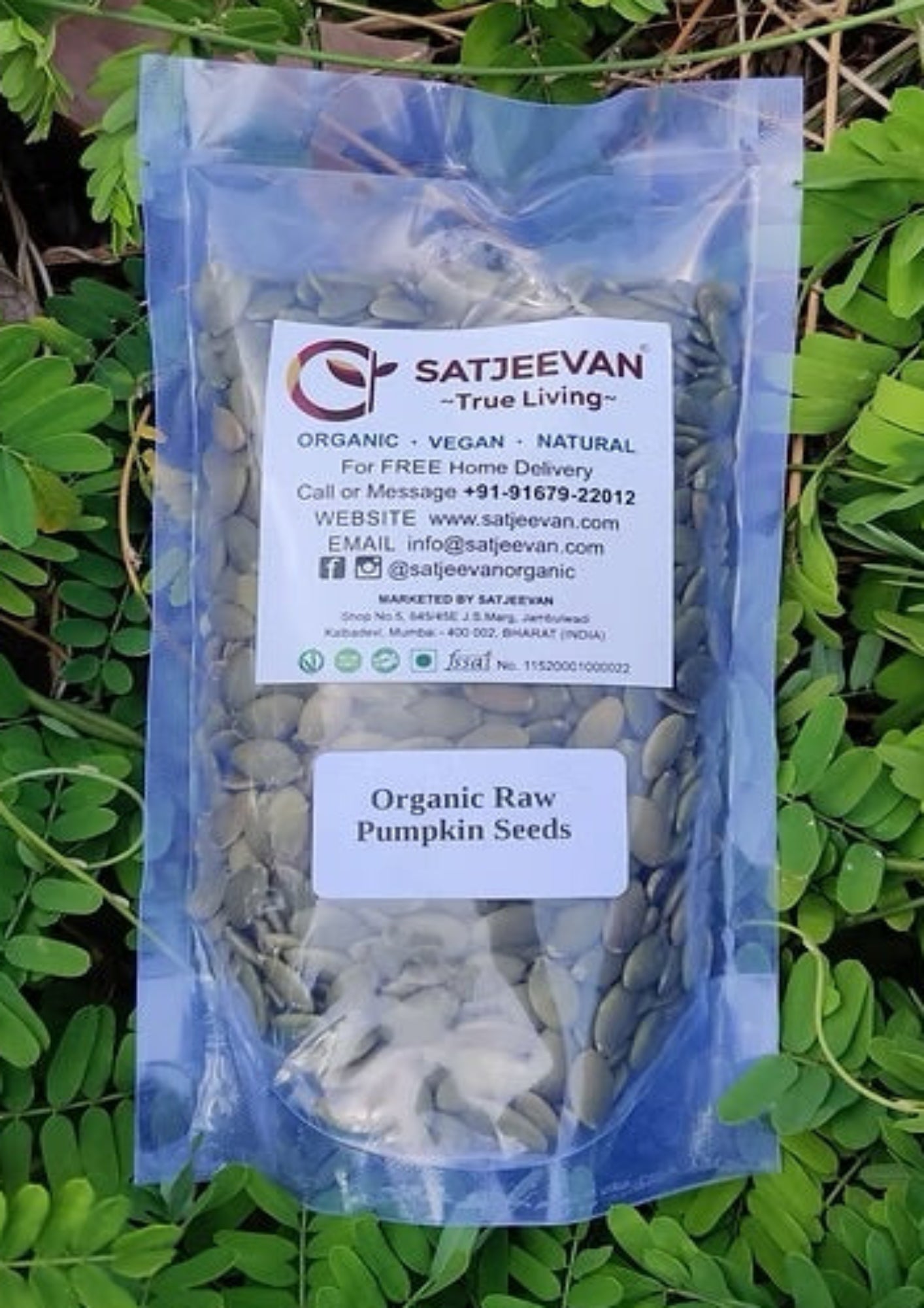 Organic Raw Pumpkin Seeds 250g
