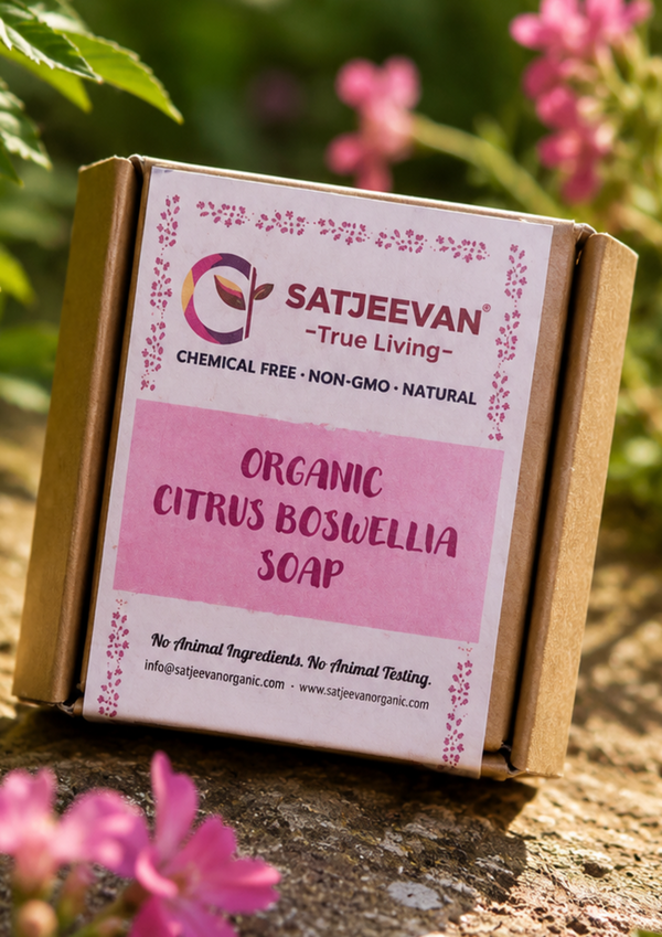 Organic Citrus Boswellia Soap 100g
