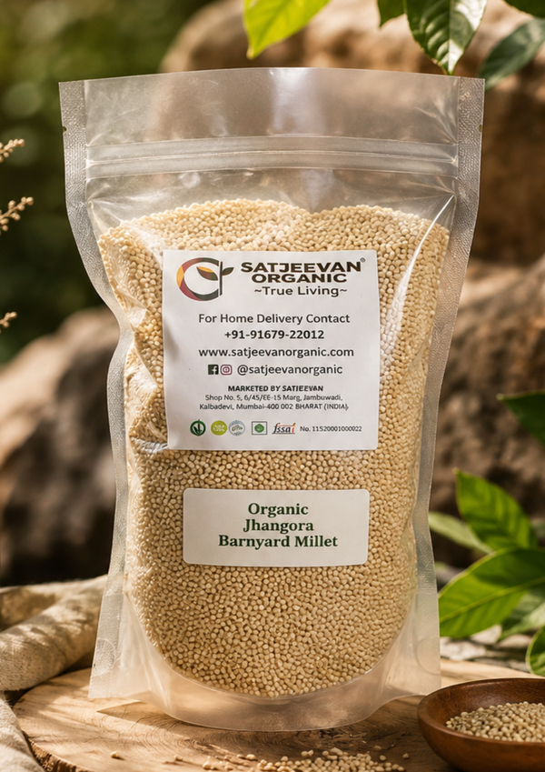 Organic Jhangora Barnyard Millet 500g