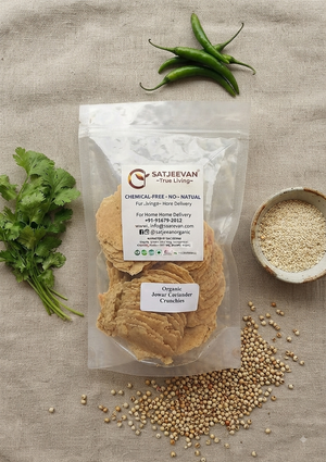 Organic Jowar Coriander Crunchies 100g