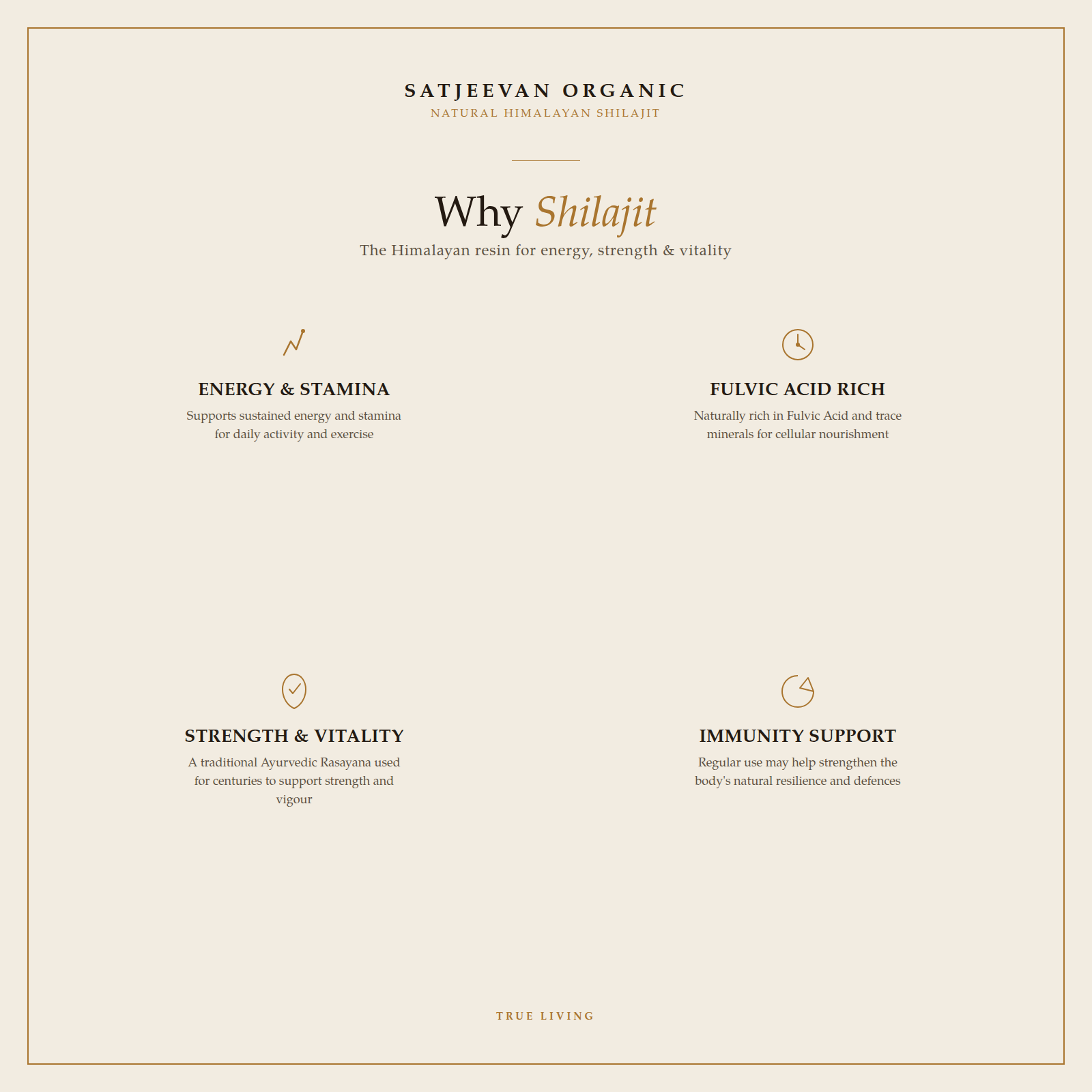 Natural Himalayan Shilajit 10g