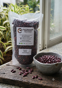 Organic Rajma Jammu Red