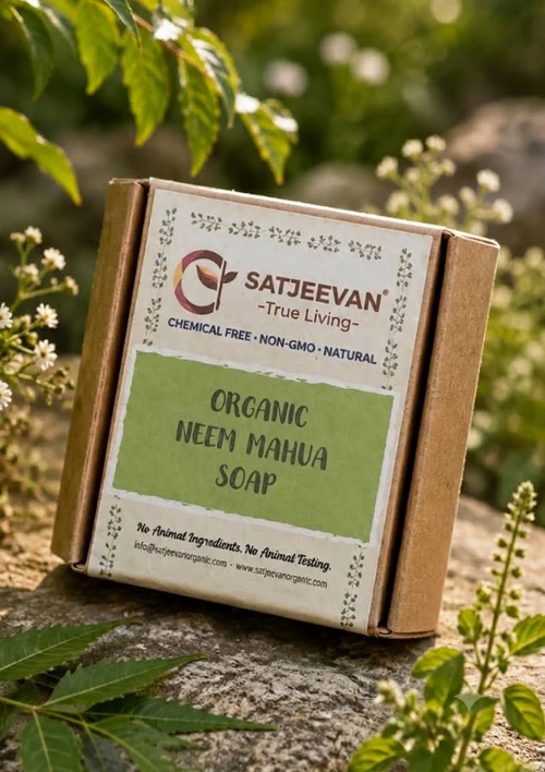 Organic Neem Mahua Soap 100g