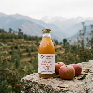 Organic Himalayan Red Apple Juice 200ml