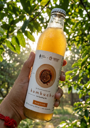 Organic Kombucha Orange Vanilla 250ml
