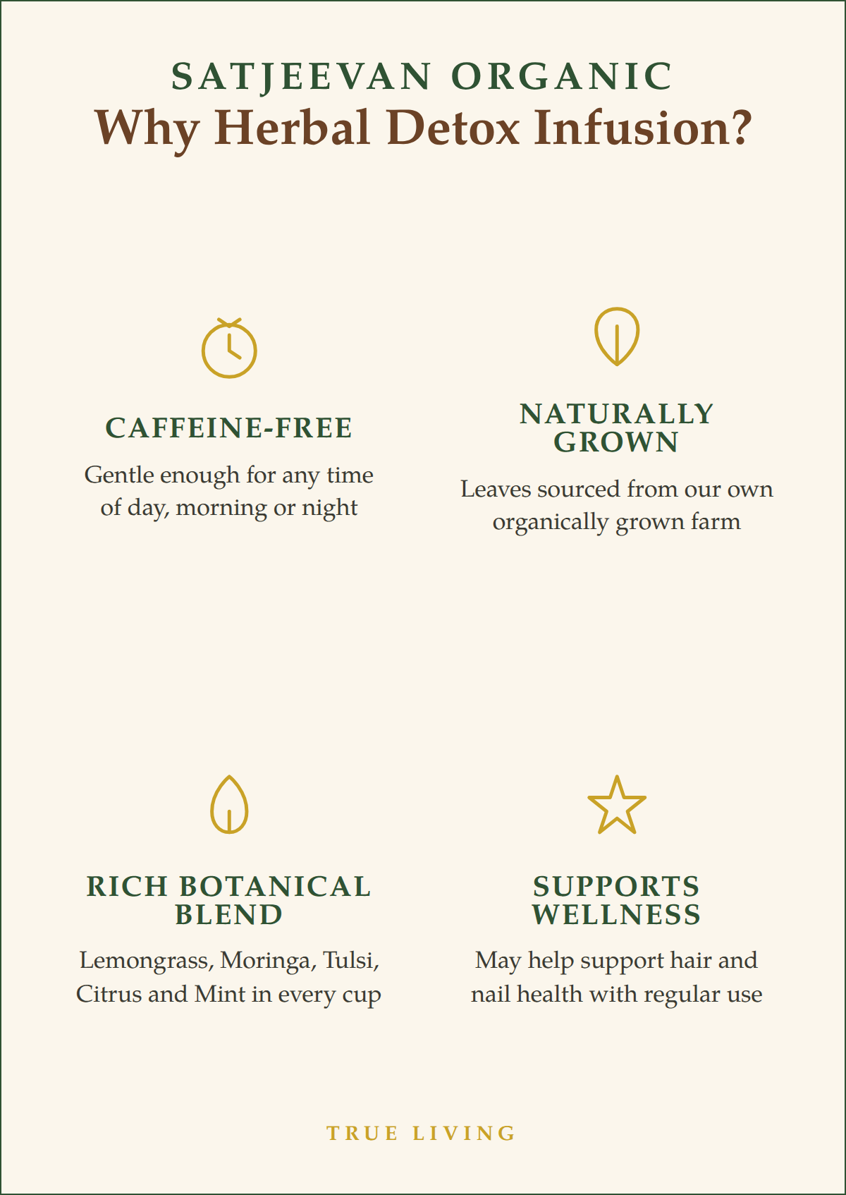 Organic Herbal Detox Infusion 50g